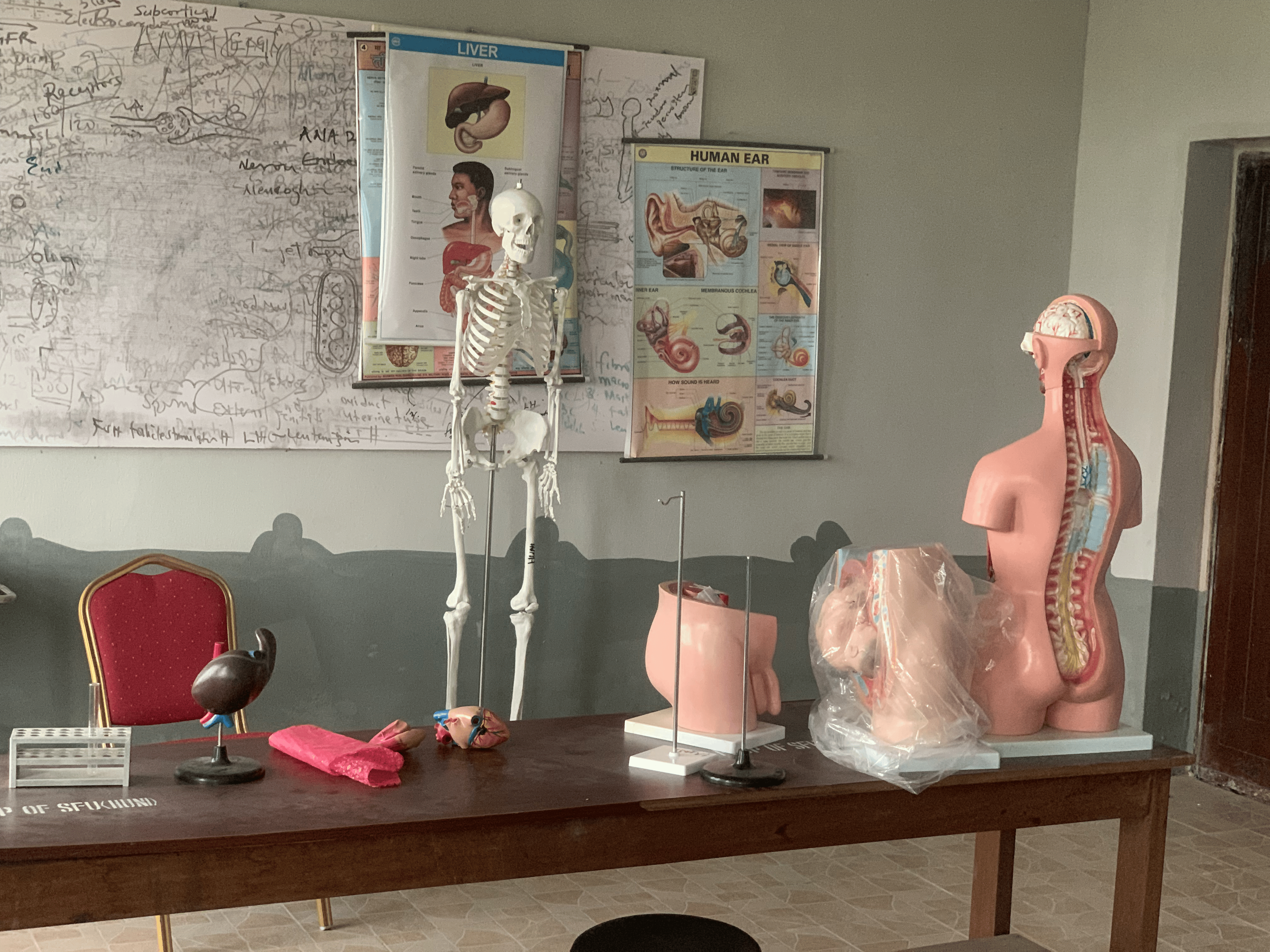 Faculty of Health Sciences