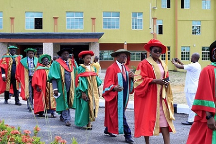 Undergraduate Admission